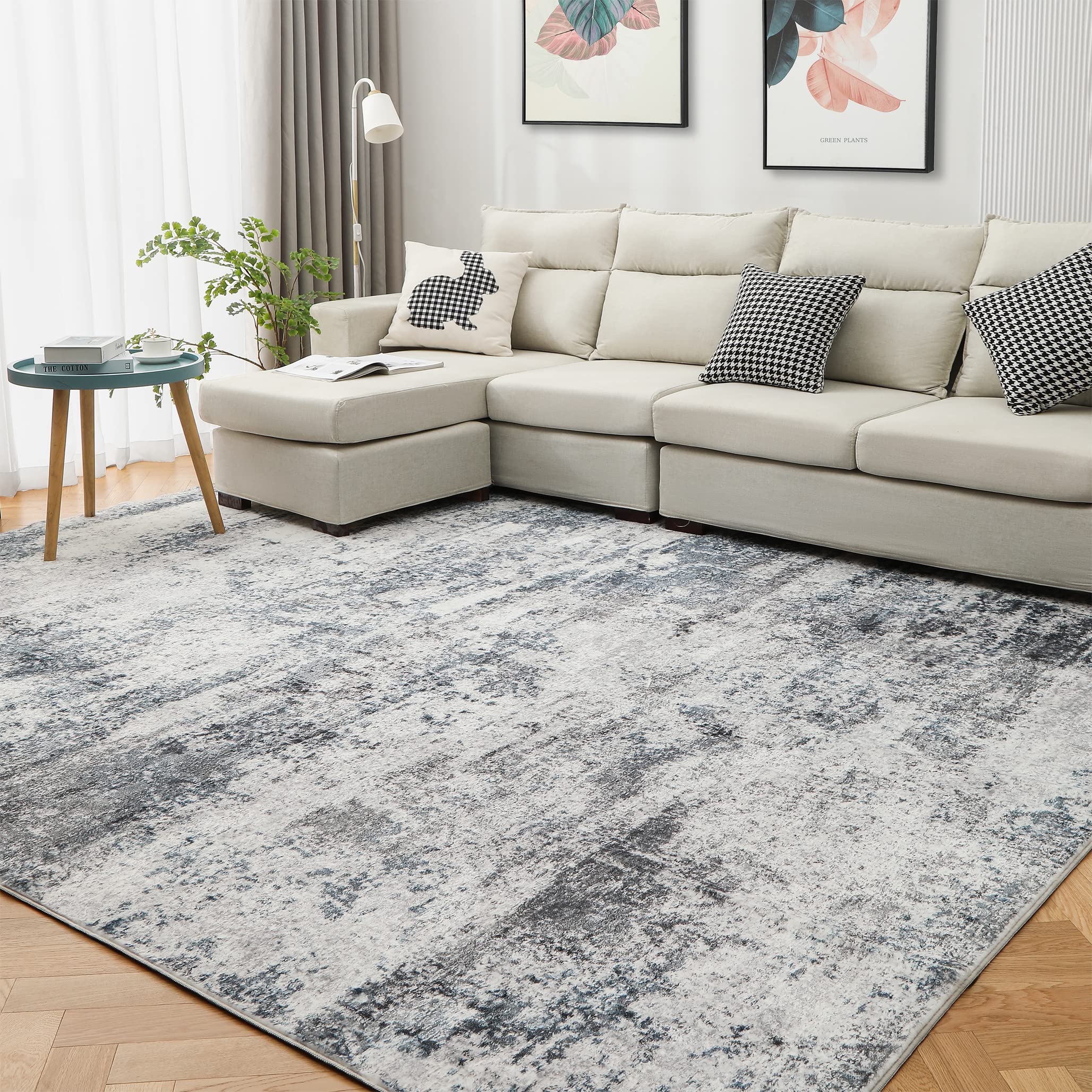Living Room Rug